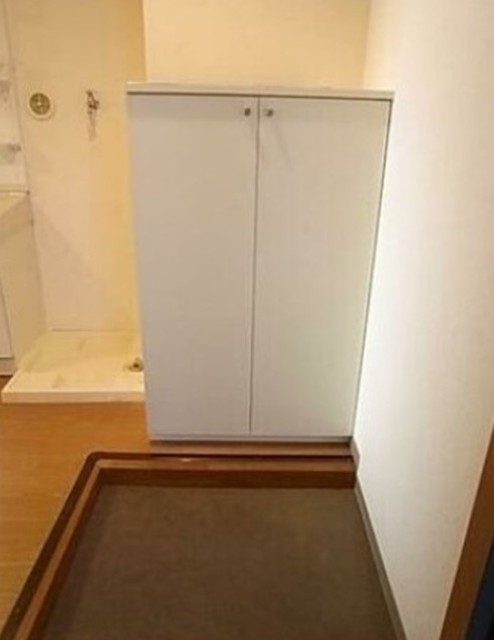 玄関　同仕様タイプ