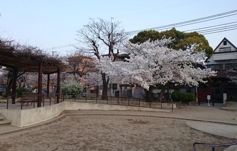 公園　御代開公園（公園）まで597m