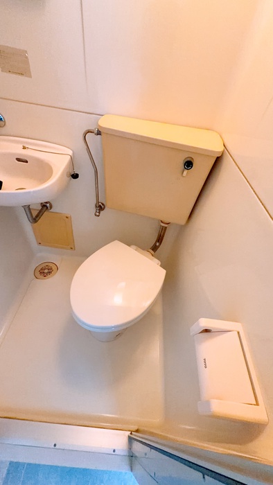 グリ-ンハイツ木城のトイレ写真