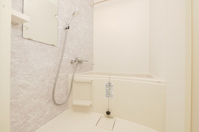S-RESIDENCE堺筋本町Deuxの風呂写真