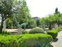公園　いちょう公園（公園）まで300m