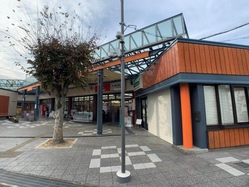 スーパー　トーホーストア 竹の台店（スーパー）まで1022m
