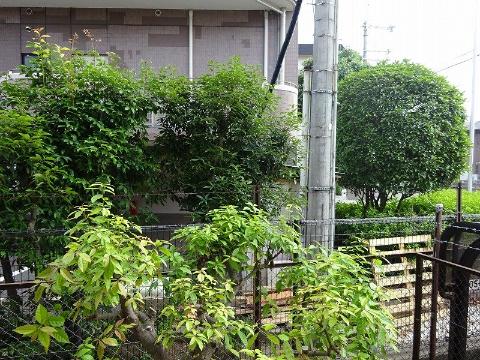 ＣＩＴＹ－Ｕ北本　眺望　眺望