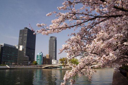 【アーバネックス大阪天満橋の公園】