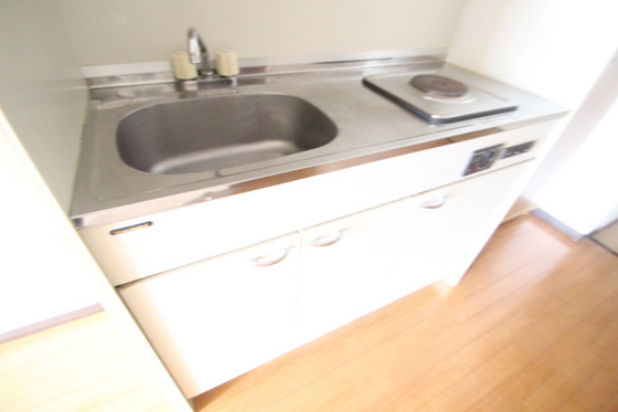 キッチン　※別部屋の写真です