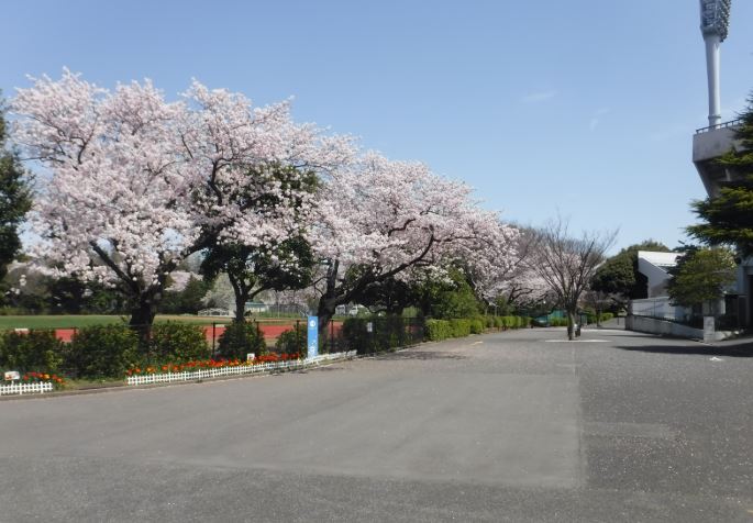 公園　横浜市役所 環境創造局 三ツ沢公園（公園）まで1235m