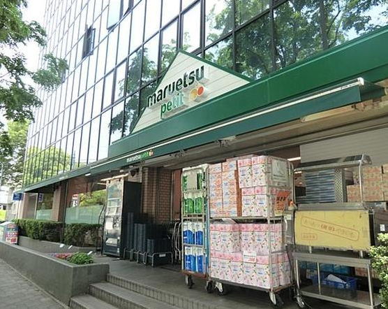 スーパー　マルエツ プチ 西大井駅前店（スーパー）まで487m