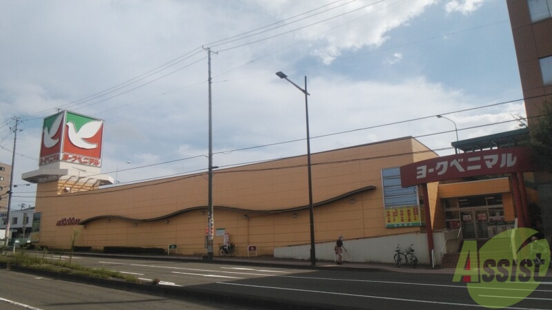 スーパー　ヨークベニマル真美沢店（スーパー）まで73m