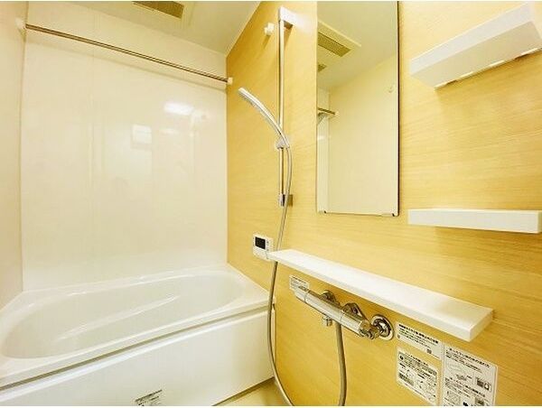 バス・シャワールーム　脱衣スペースもあります