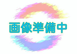 バルコニー　宅配ボックス