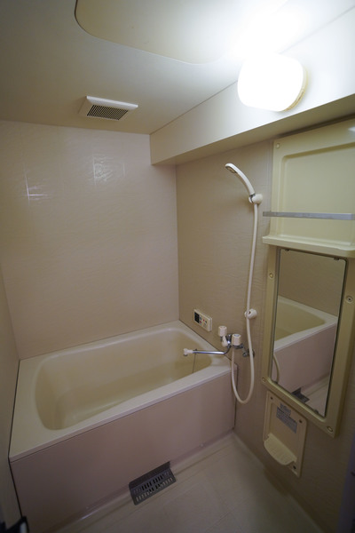 バス・シャワールーム　同じ建物の別なお部屋