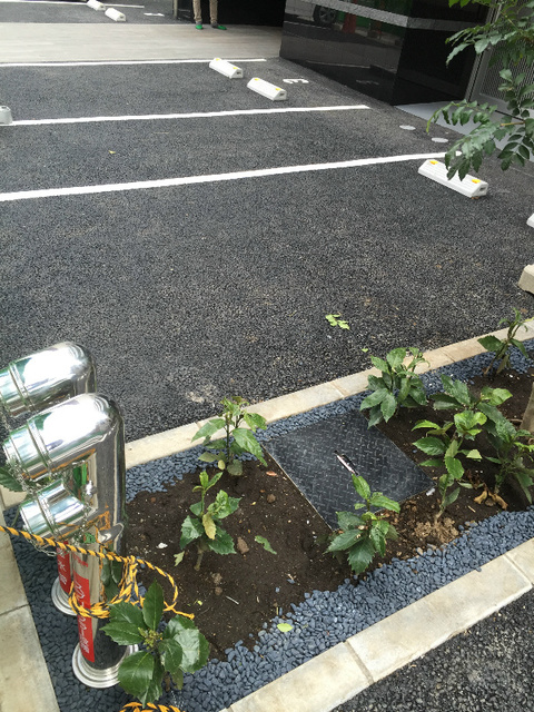 駐車場　駐車場