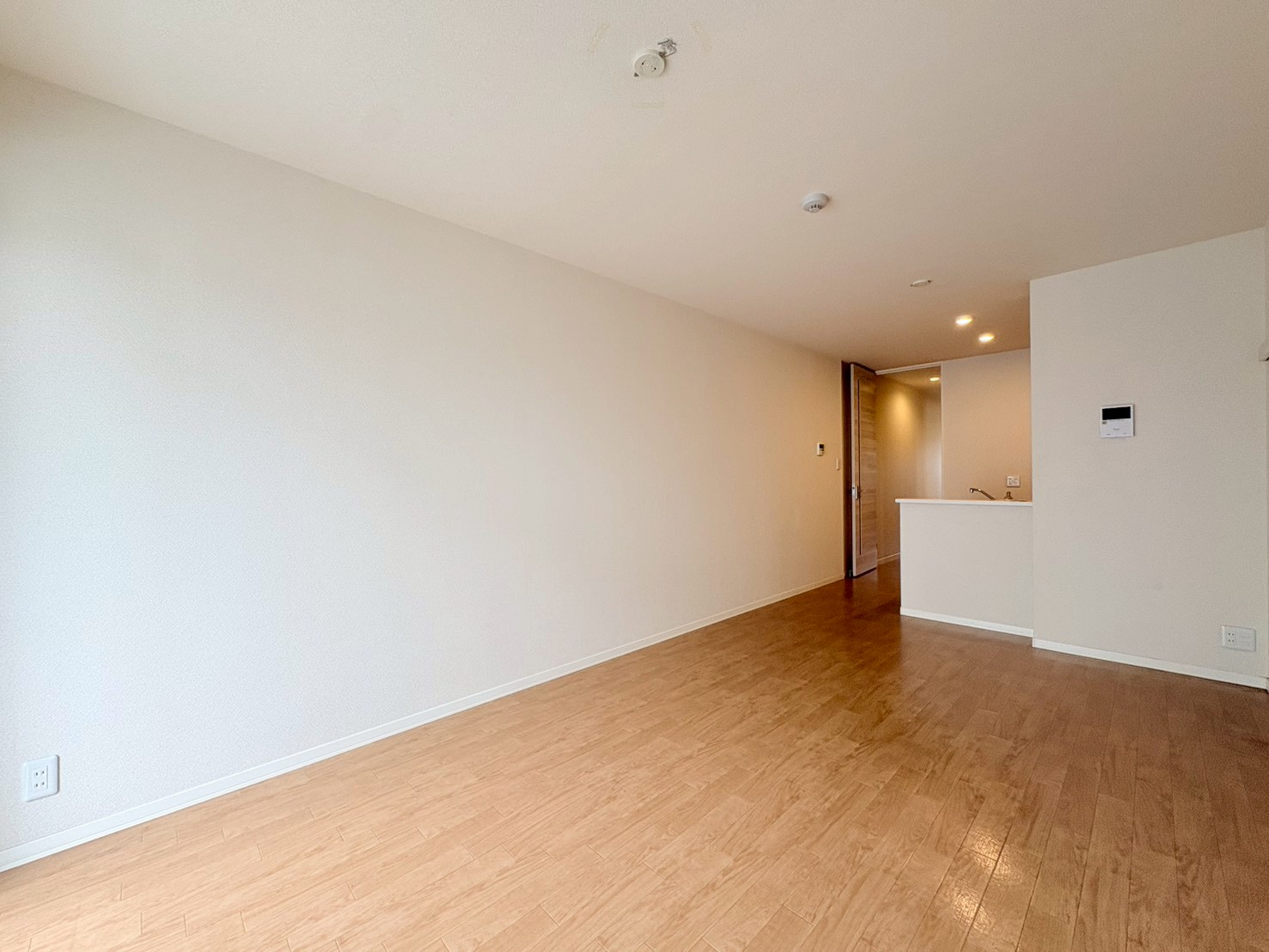 居室・リビング　11.7帖のLDK!