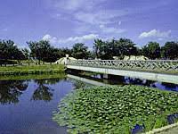 公園　乙戸沼公園（公園）まで2184m