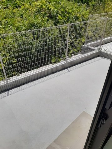 庭　お庭が付いています