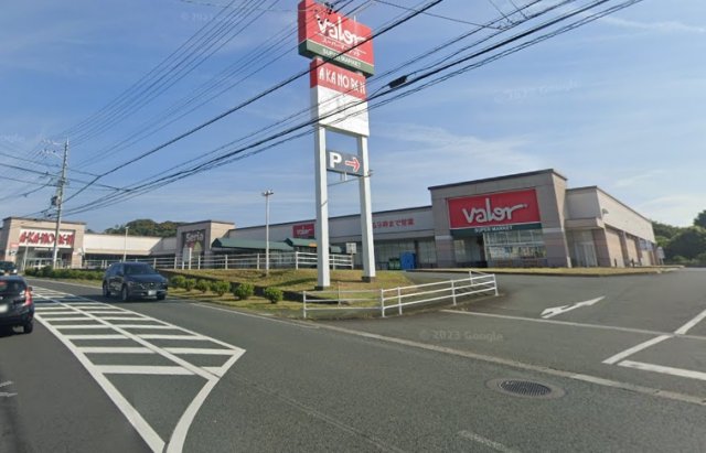 スーパー　スーパーマーケットバロー　有玉店（スーパー）まで1666m