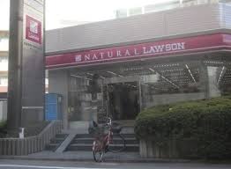 コンビニ　ナチュラルローソン NL北大塚一丁目店（コンビニ）まで302m