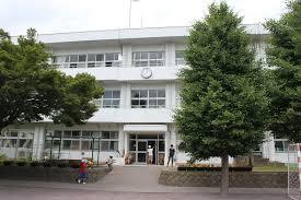 小学校　神戸市立白川小学校（小学校）まで492m