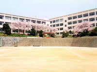 中学校　神戸市立白川台中学校（中学校）まで708m