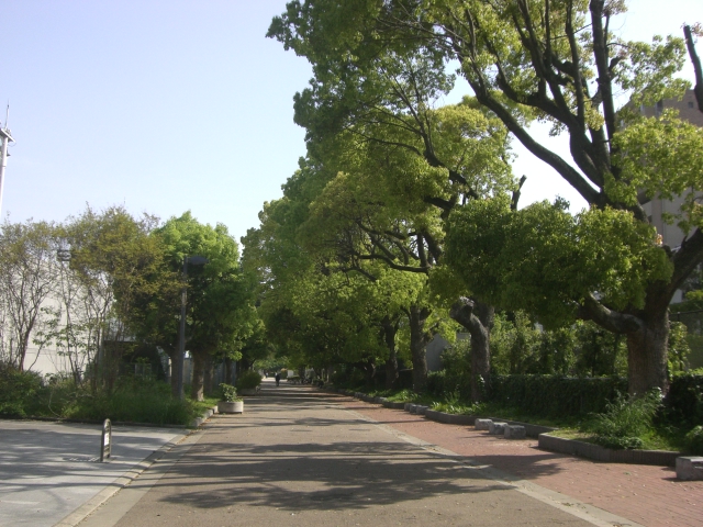 公園　真田山公園（公園）まで510m