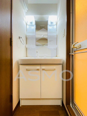 洗面設備　同マンション別部屋　参考写真