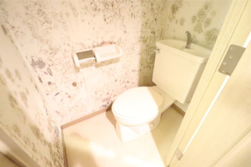トイレ　アクセントクロスのトイレです