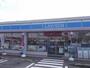 コンビニ　ローソン板野町羅漢店様（コンビニ）まで400m