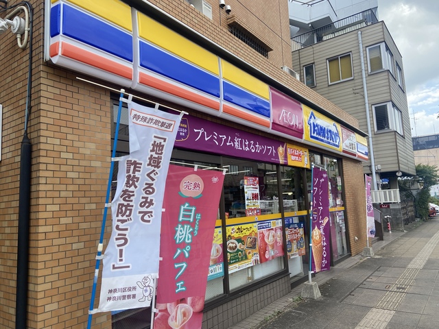 ブルーライン 三ツ沢下町駅 徒歩3分 4階建 築1年の周辺写真