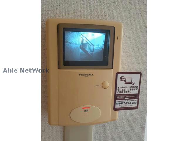 コウチターナのその他写真