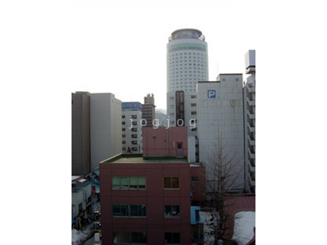 【札幌市中央区南二条西のマンションの眺望】