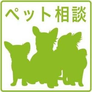 【名古屋市東区葵のマンションのその他】