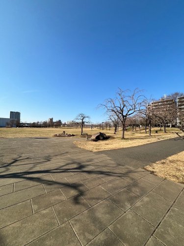 【足立区小台のマンションの公園】