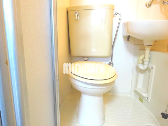 トイレ　トイレです