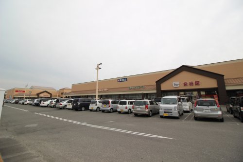 スーパー　フジグラン葛島（スーパー）まで1081m