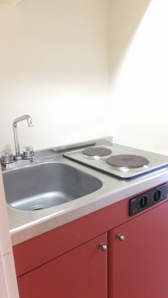 キッチン　2口のラジエントヒーター