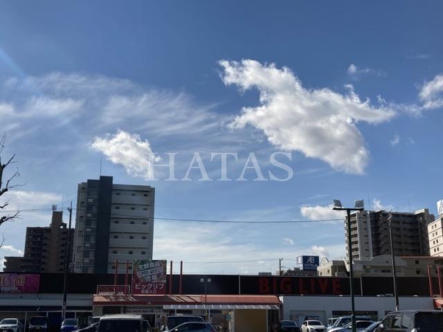 スーパー　ビッグリブ　安城店（スーパー）まで1000m