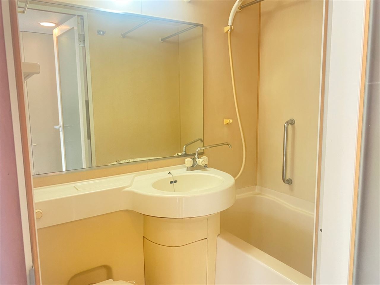 洗面設備　ラフィネ新栄