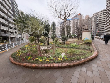 公園　入新井公園（公園）まで177m