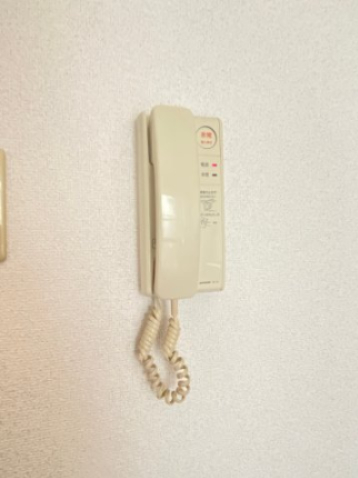 セキュリティ　画像は別号室。ご参考にどうぞ