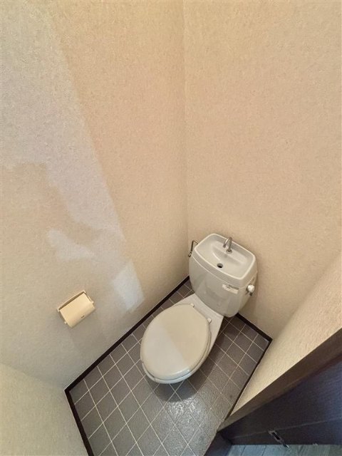 しんまちハイツVのトイレ写真