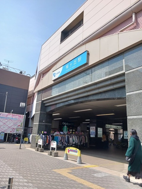 その他　梅が丘駅（その他）まで800m