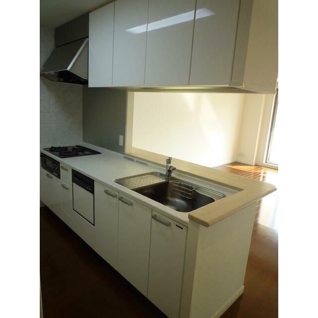 キッチン　Bタイプ2010年2月撮影 同タイプ104号室の写真です。