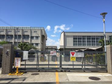 中学校　堺市立深井中央中学校（中学校）まで591m