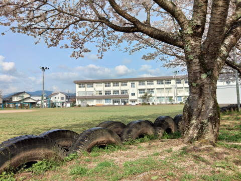 小学校　豊岡市立田鶴野小学校（小学校）まで553m