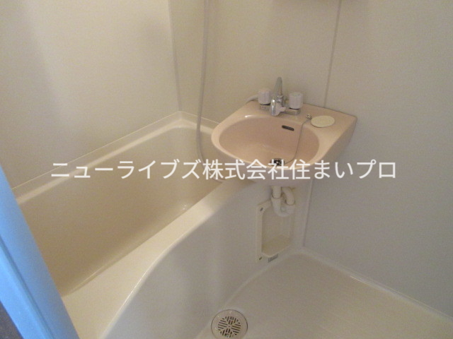 ヴァンベエールの風呂写真