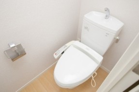 コンフォリア白金高輪のトイレ写真