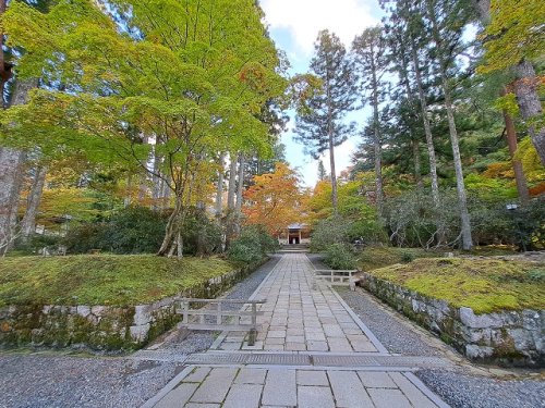 【桜ハイツ壱番館のその他】