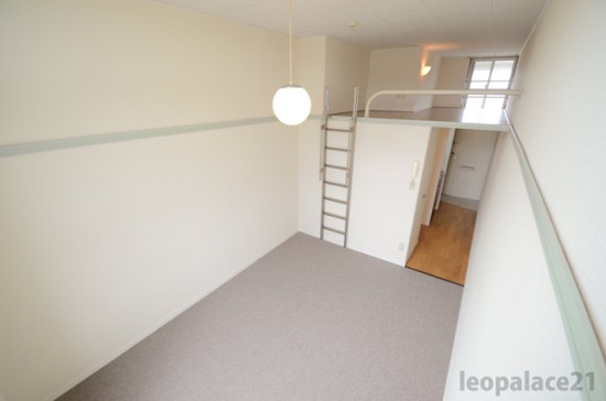 レオパレスコスモス_その他_0