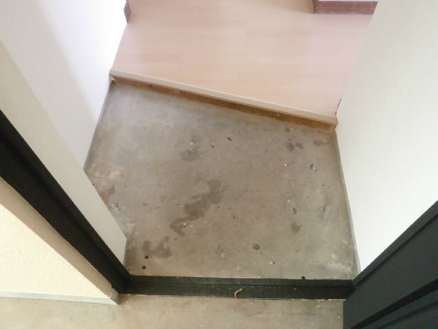 玄関　同型タイプ