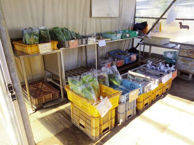 その他　野菜の直売所（その他）まで428m